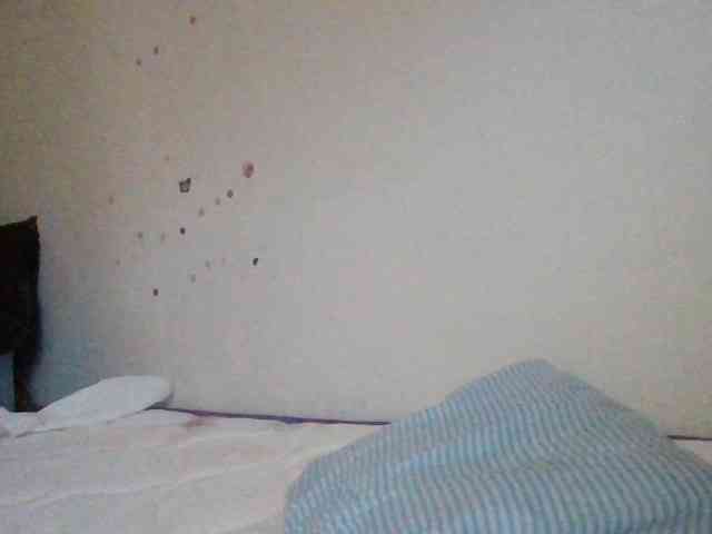 starlight1983 webcam