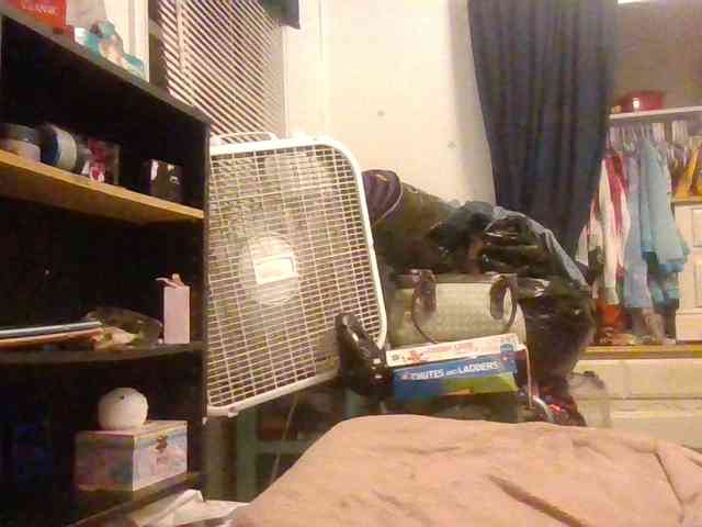 starlight1983 webcam