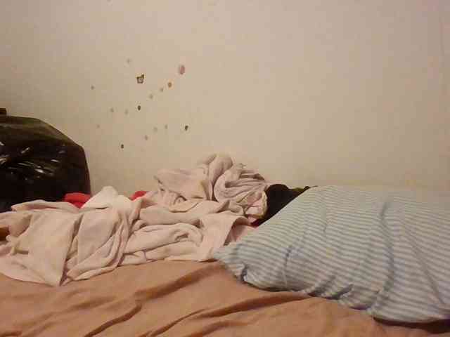 starlight1983 webcam