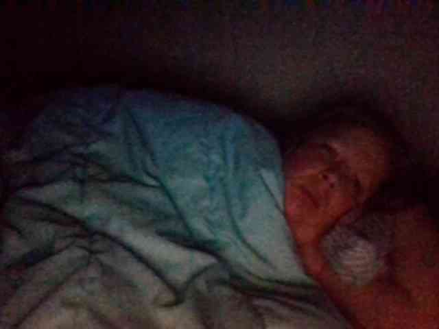 starlight1983 webcam