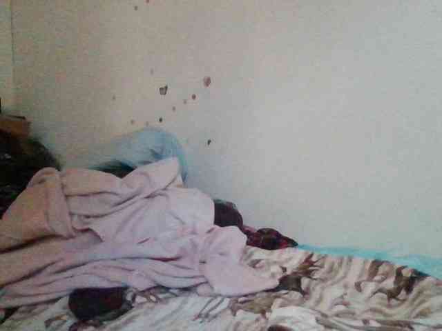 starlight1983 webcam