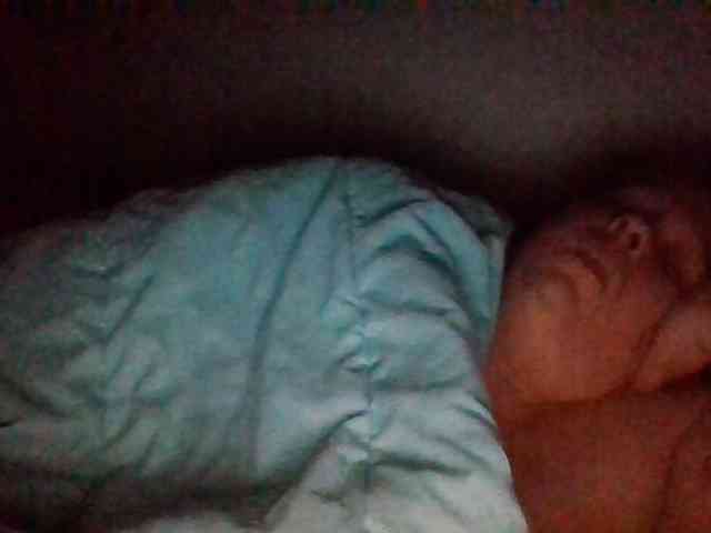 starlight1983 webcam