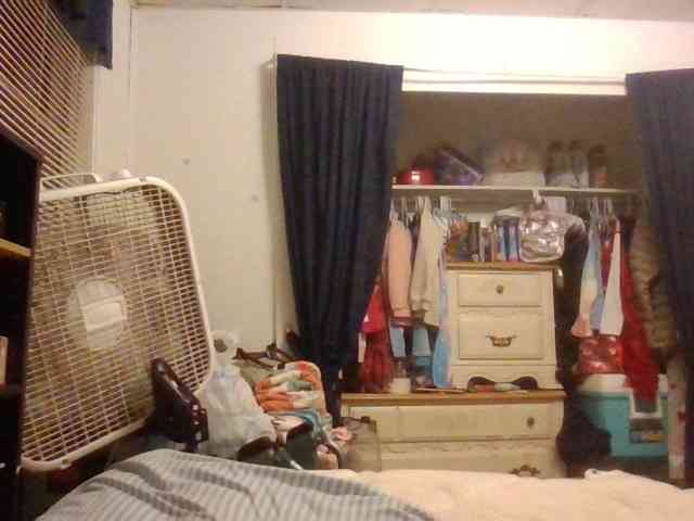 starlight1983 webcam