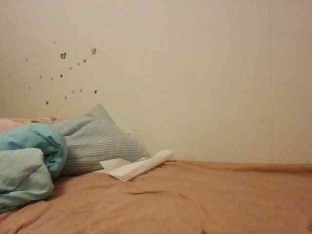 starlight1983 webcam