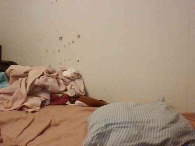 starlight1983 webcam