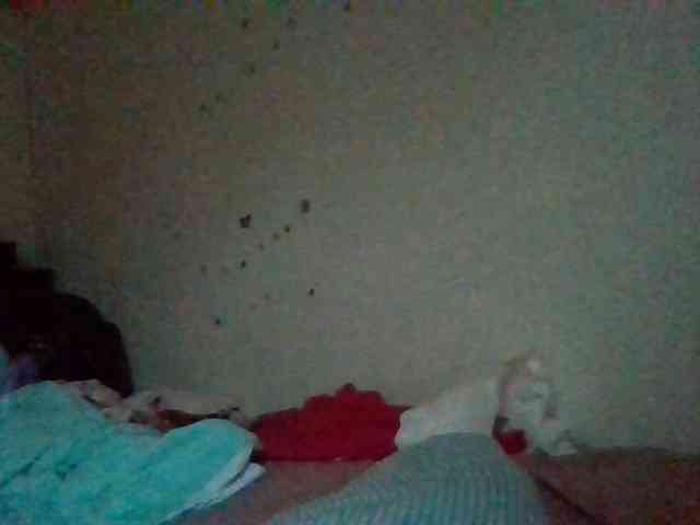 starlight1983 webcam