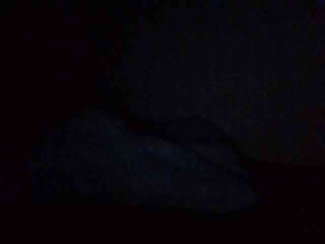 starlight1983 webcam