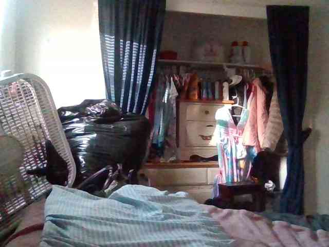 starlight1983 webcam