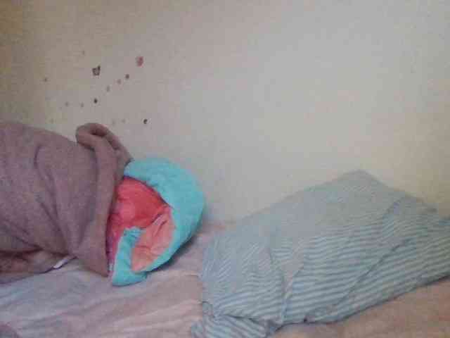 starlight1983 webcam