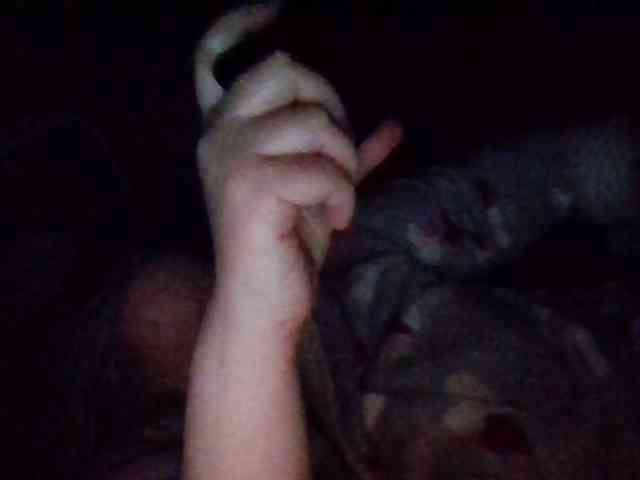 starlight1983 webcam