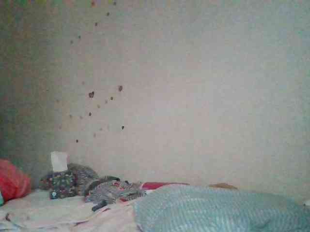 starlight1983 webcam