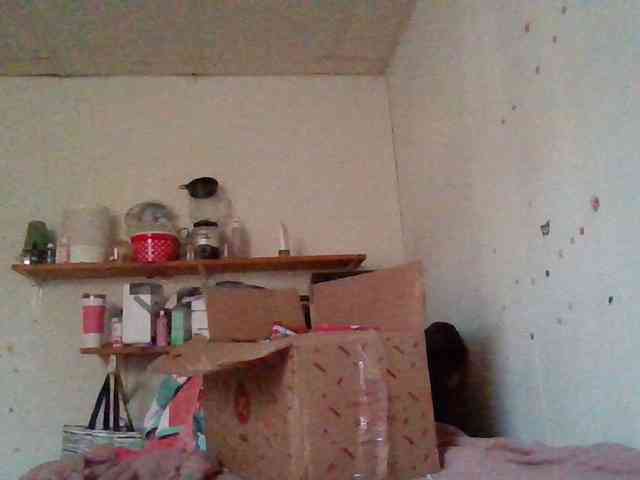 starlight1983 webcam