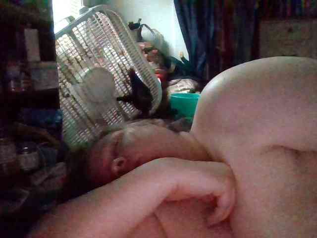 starlight1983 webcam