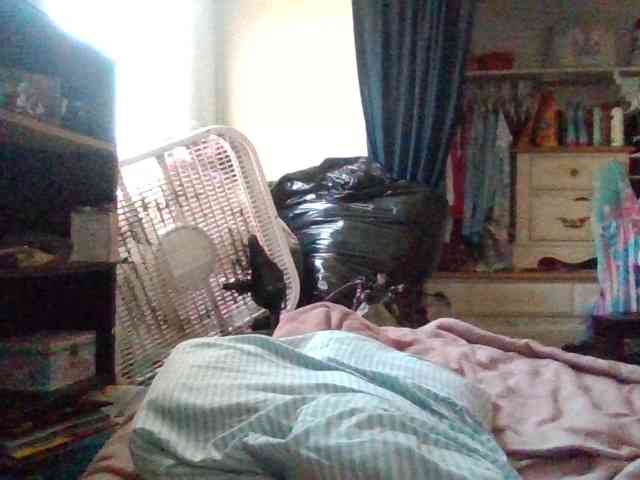 starlight1983 webcam