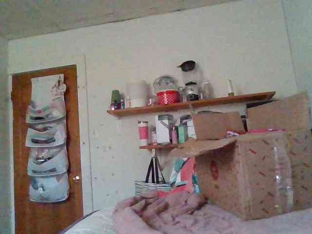 starlight1983 webcam