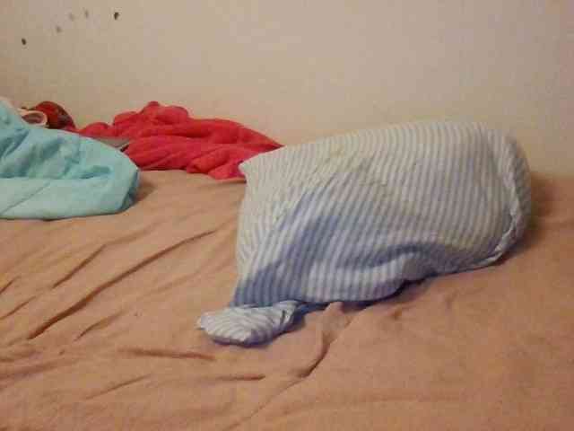 starlight1983 webcam