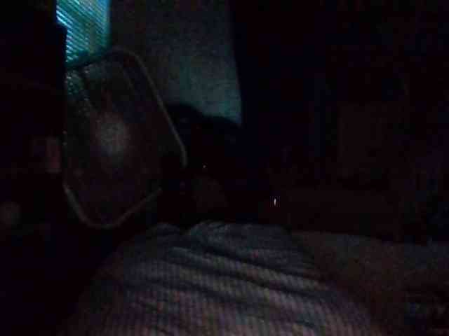 starlight1983 webcam