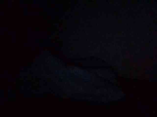 starlight1983 webcam