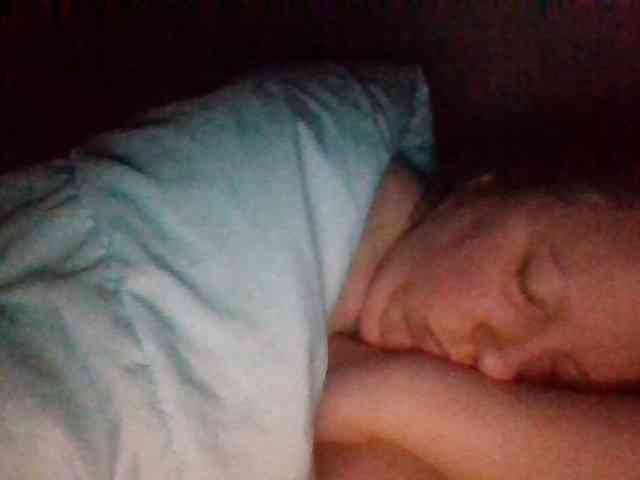 starlight1983 webcam