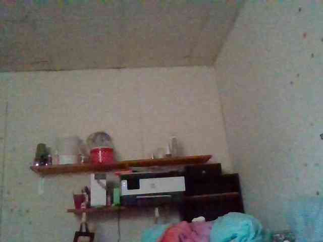 starlight1983 webcam