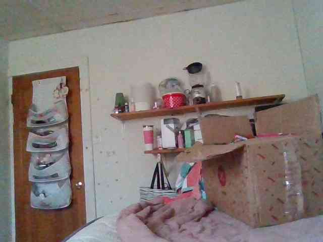 starlight1983 webcam