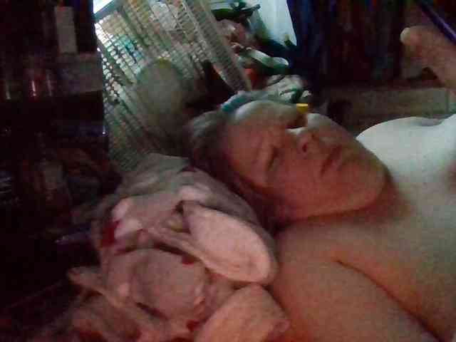 starlight1983 webcam
