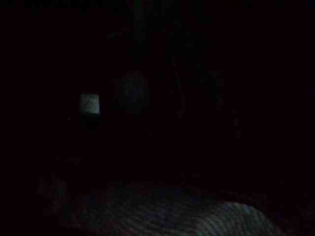 starlight1983 webcam