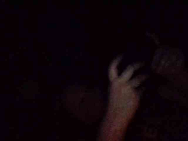 starlight1983 webcam