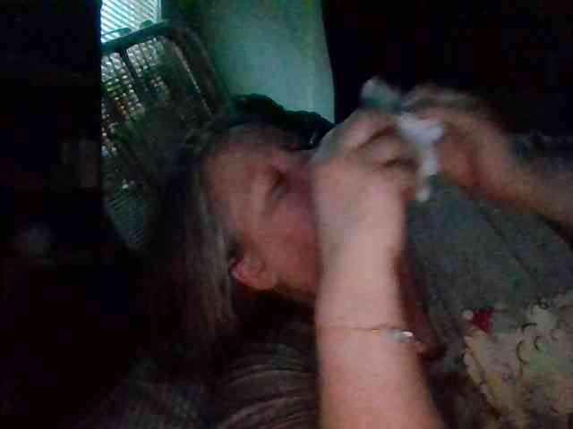 starlight1983 webcam