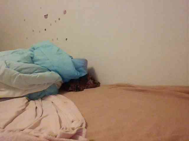 starlight1983 webcam