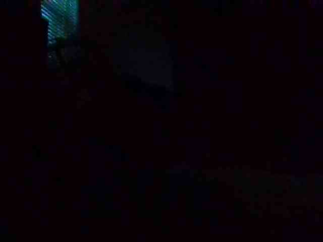 starlight1983 webcam