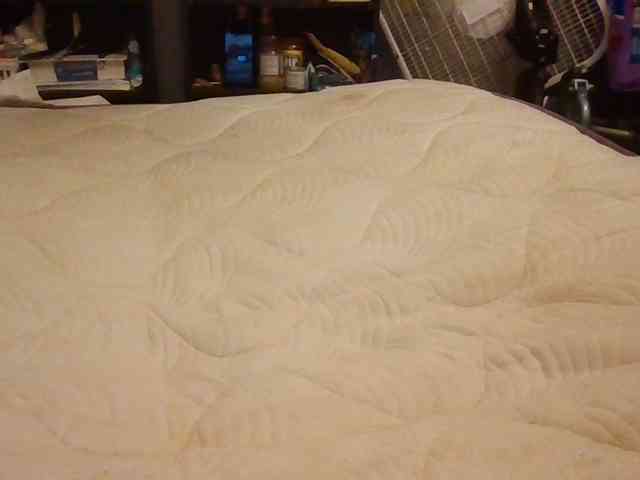 starlight1983 webcam