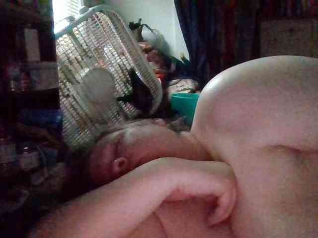 starlight1983 webcam