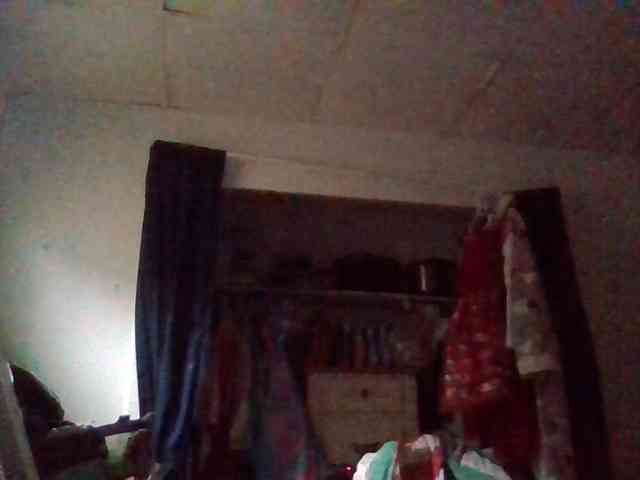 starlight1983 webcam