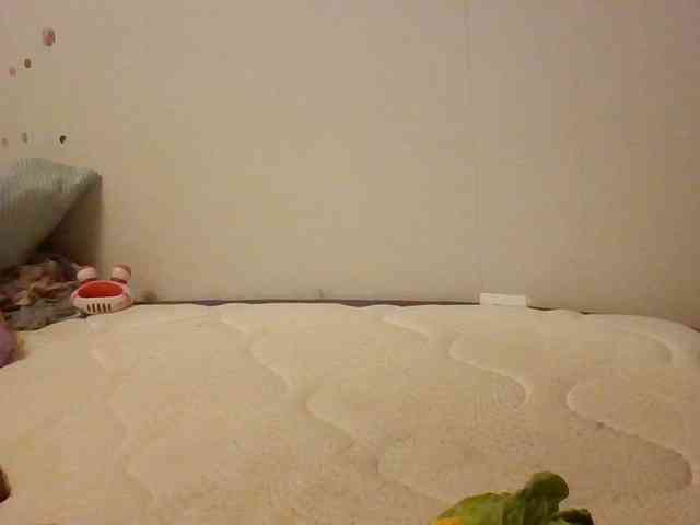 starlight1983 webcam