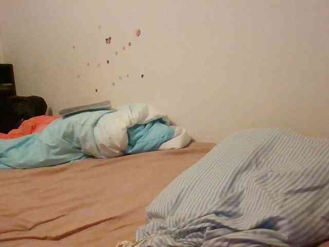 starlight1983 webcam