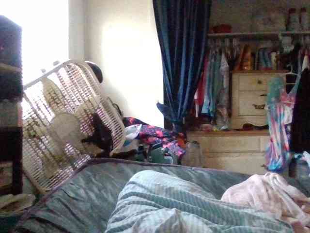 starlight1983 webcam