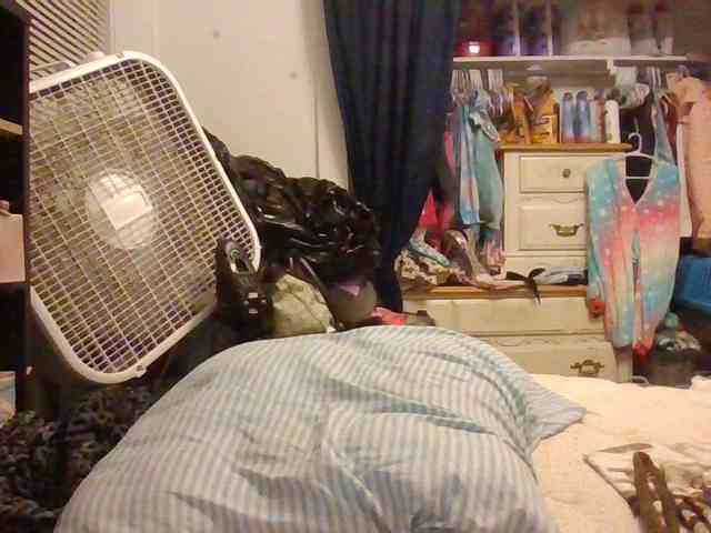 starlight1983 webcam