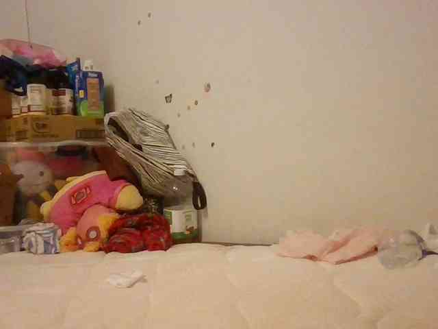 starlight1983 webcam