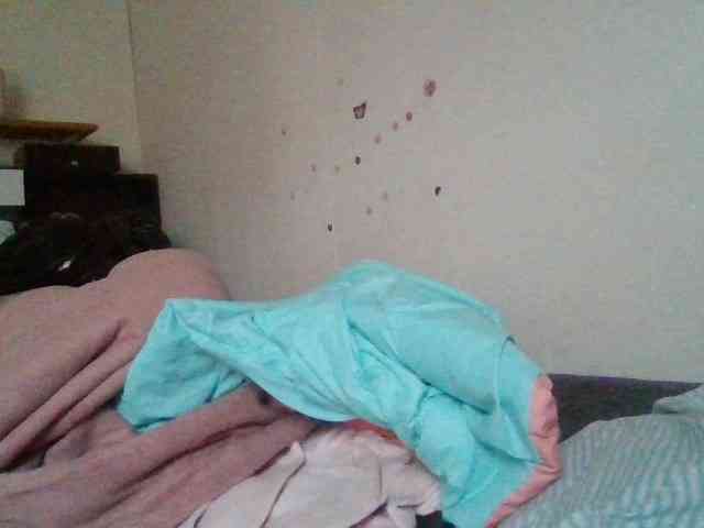 starlight1983 webcam