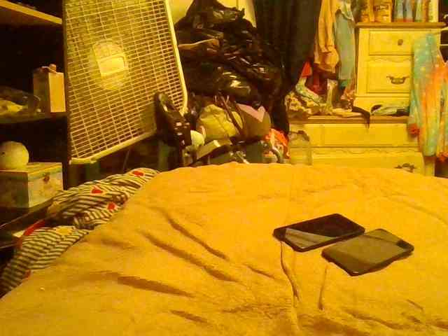 starlight1983 webcam