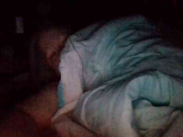 starlight1983 webcam