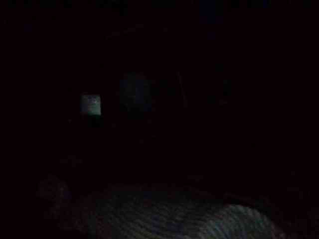 starlight1983 webcam