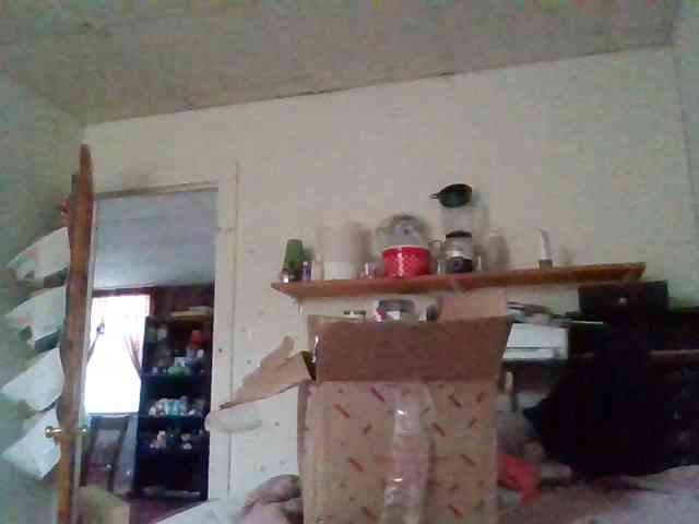 starlight1983 webcam