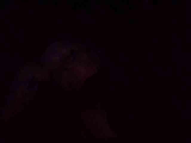 starlight1983 webcam