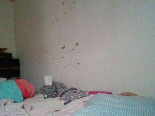 starlight1983 webcam