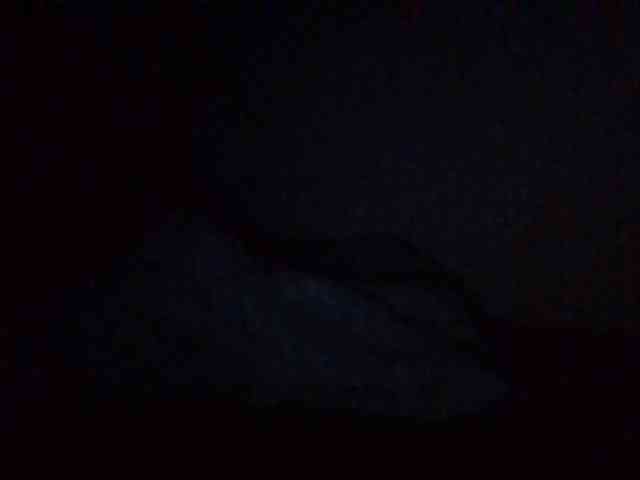 starlight1983 webcam