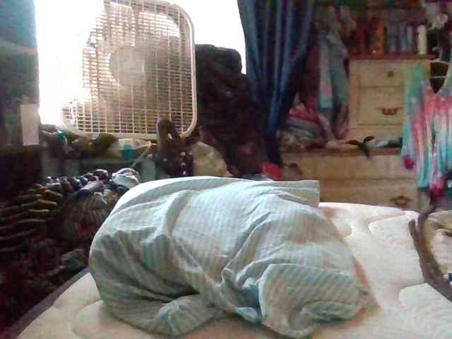 starlight1983 webcam