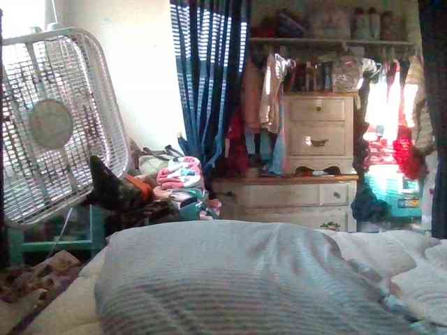 starlight1983 webcam