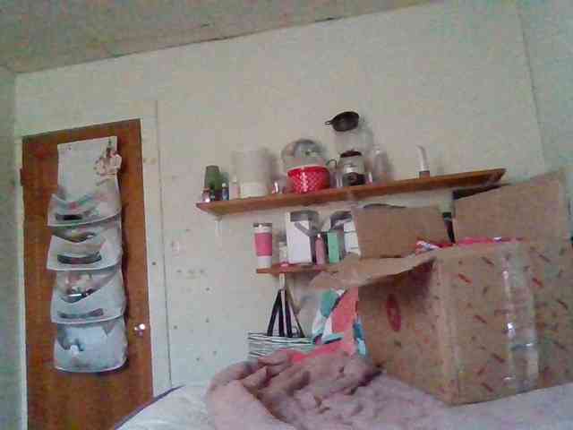 starlight1983 webcam